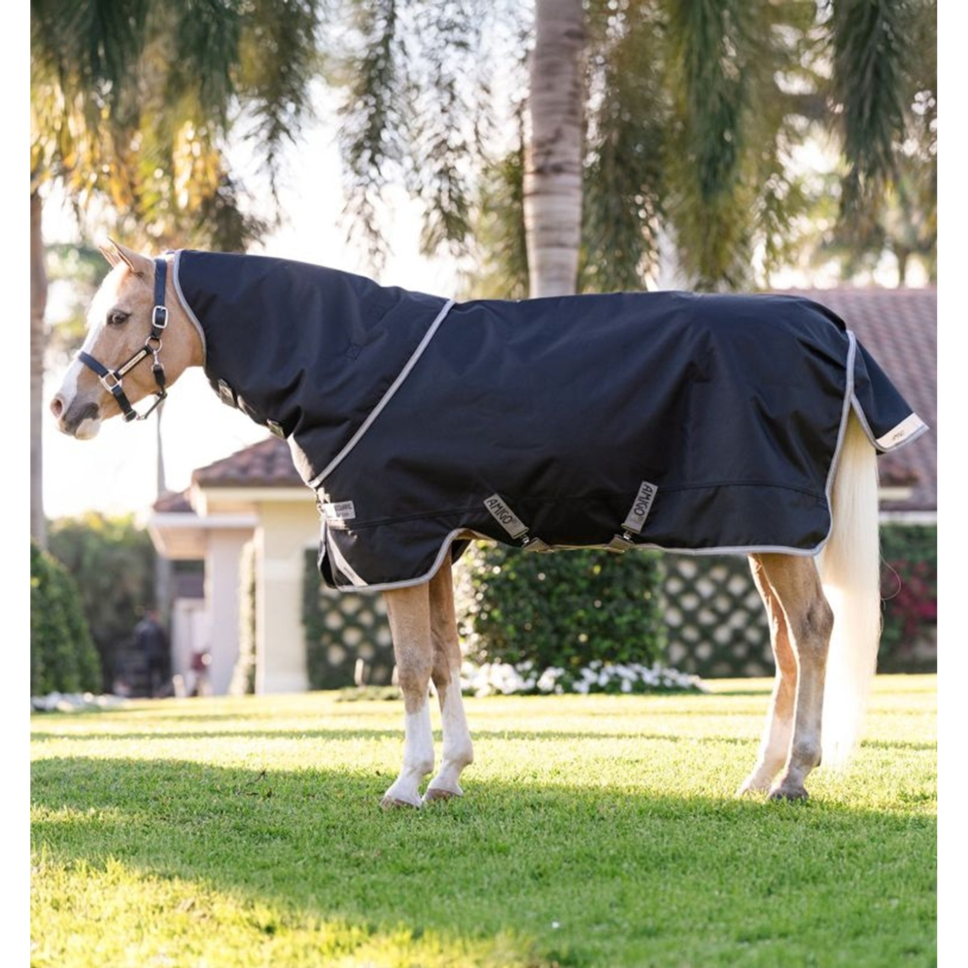 Amigo 1200D Plus Pony Turnout 250g