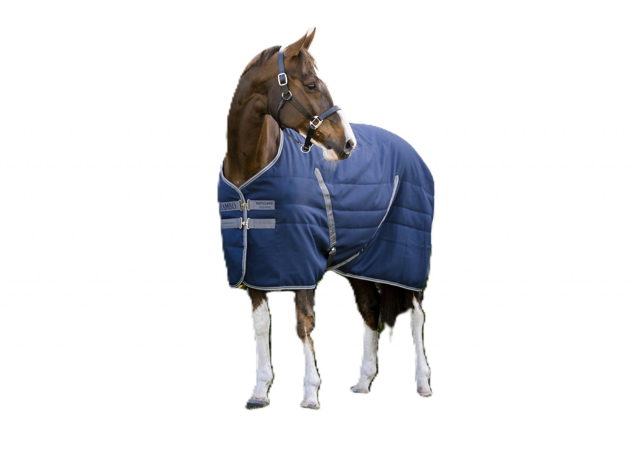 Rambo Stable 200g - Embossed Lining– HorseLoverZ