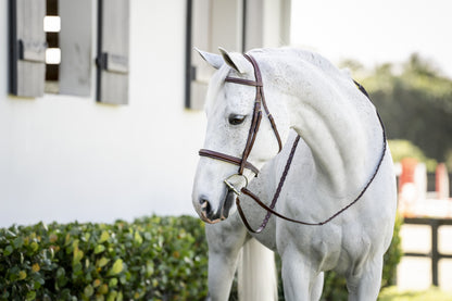 Horseware Hunter Cavesson Bridle with Reins