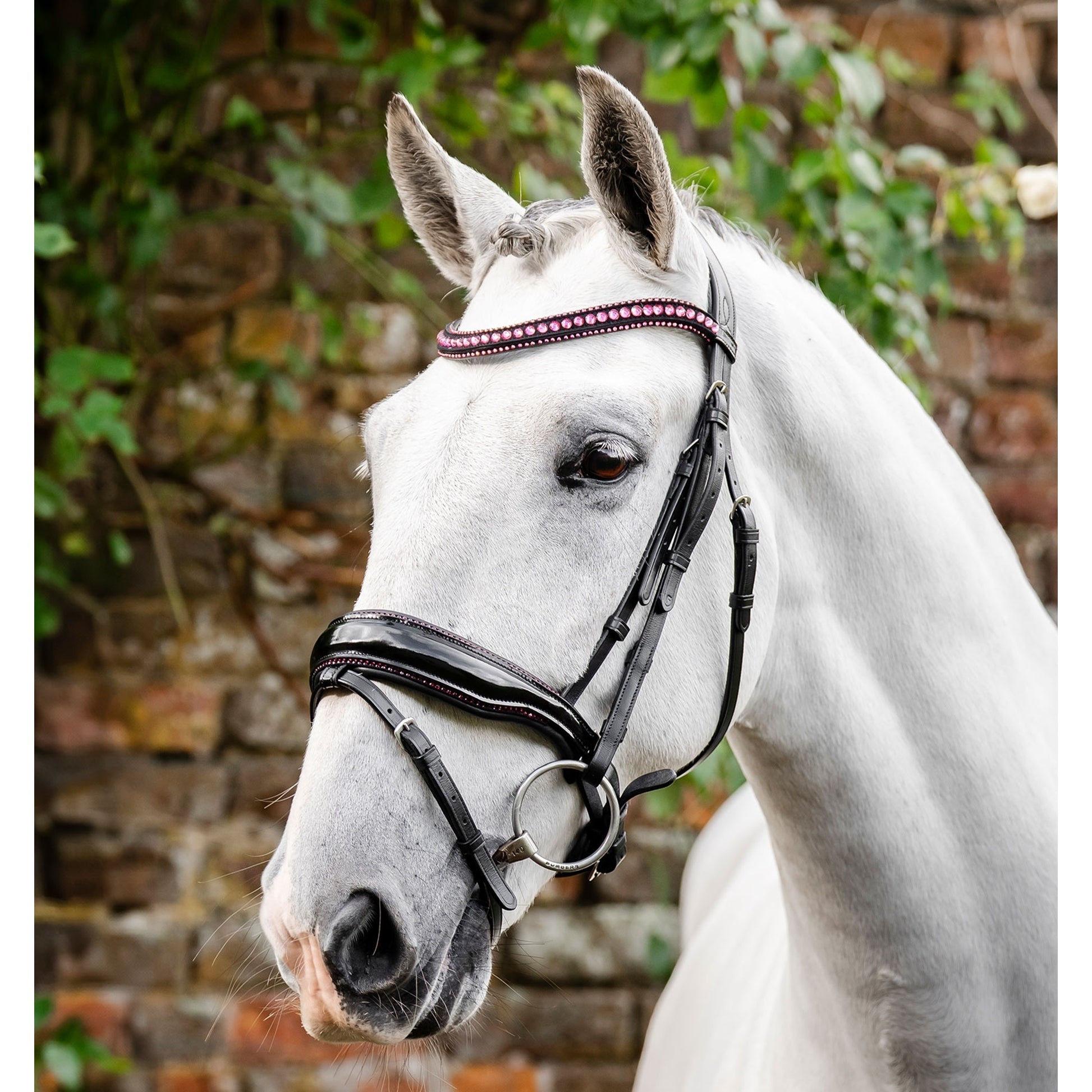 Horseware Diamante Flash Bridle