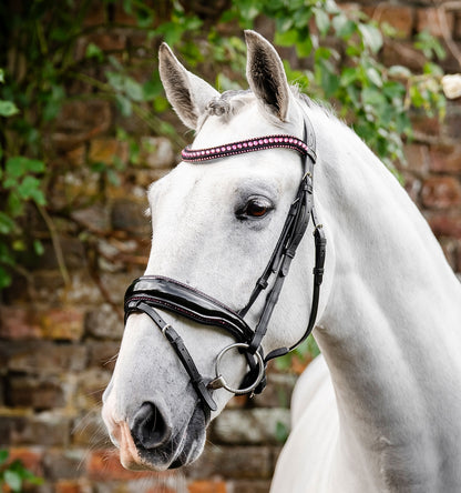 Horseware Diamante Flash Bridle