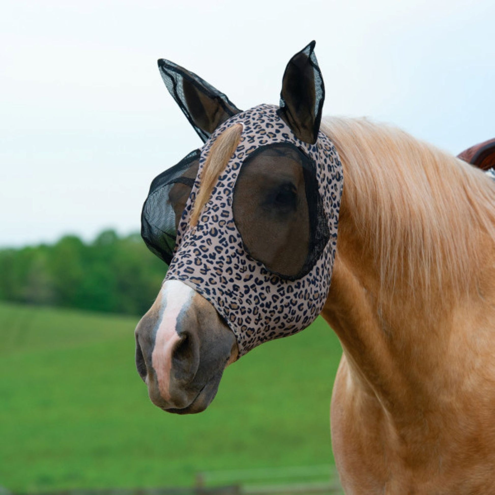 Weaver CoolAid Equine Lycra Fly Mask