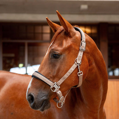 B Vertigo High Altitude Embossed Halter