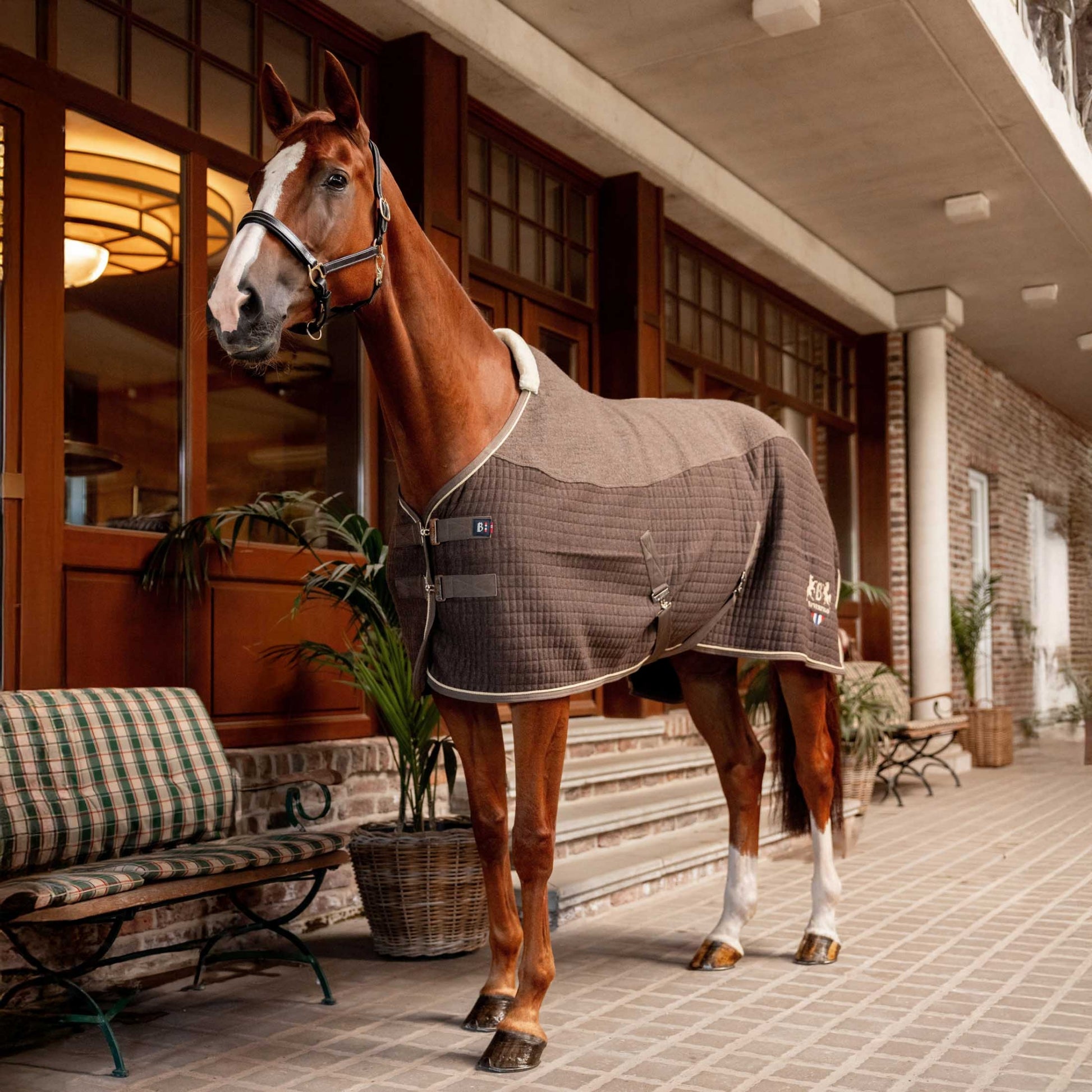 B Vertigo High Altitude Wool and Waffle Thermo Cooler