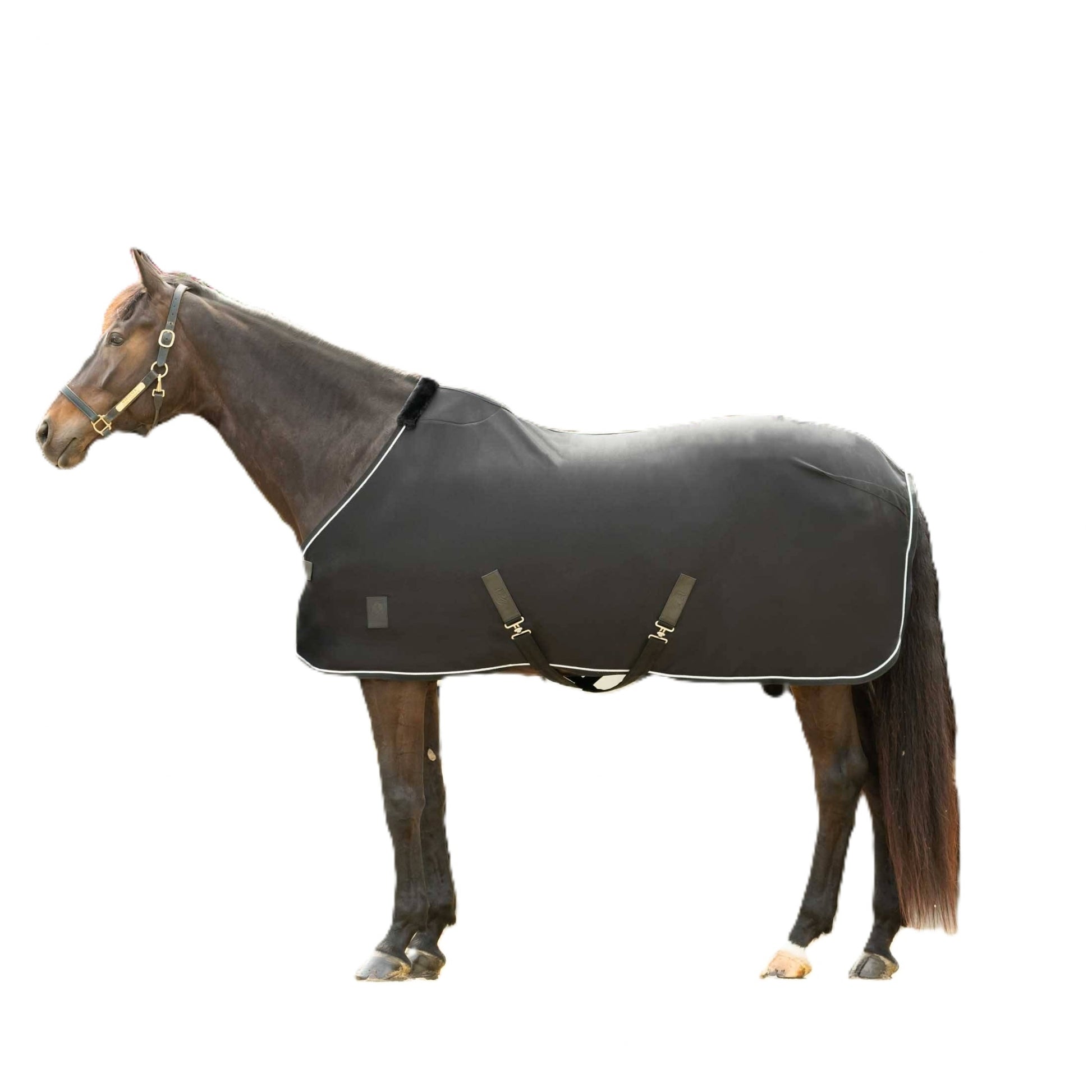 Equinavia Torr Quick Dry Cooler