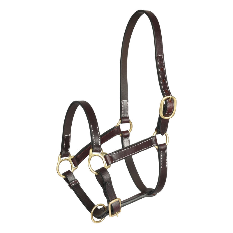 Henri de Rivel Pre Oiled Leather Halter with White Stitching without Snap