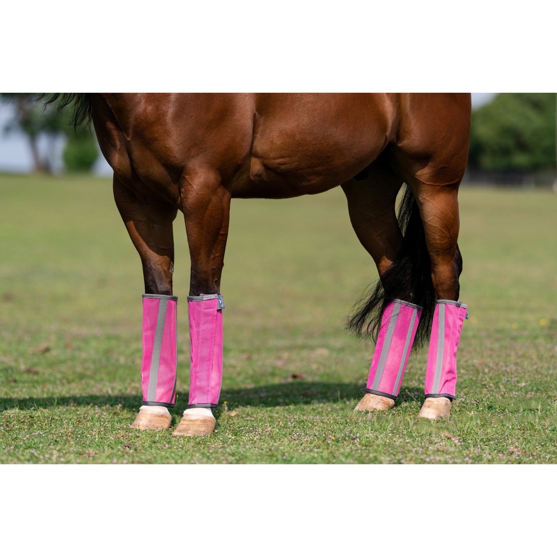 Professionals Choice Deluxe Fly Boots - 4 Pack