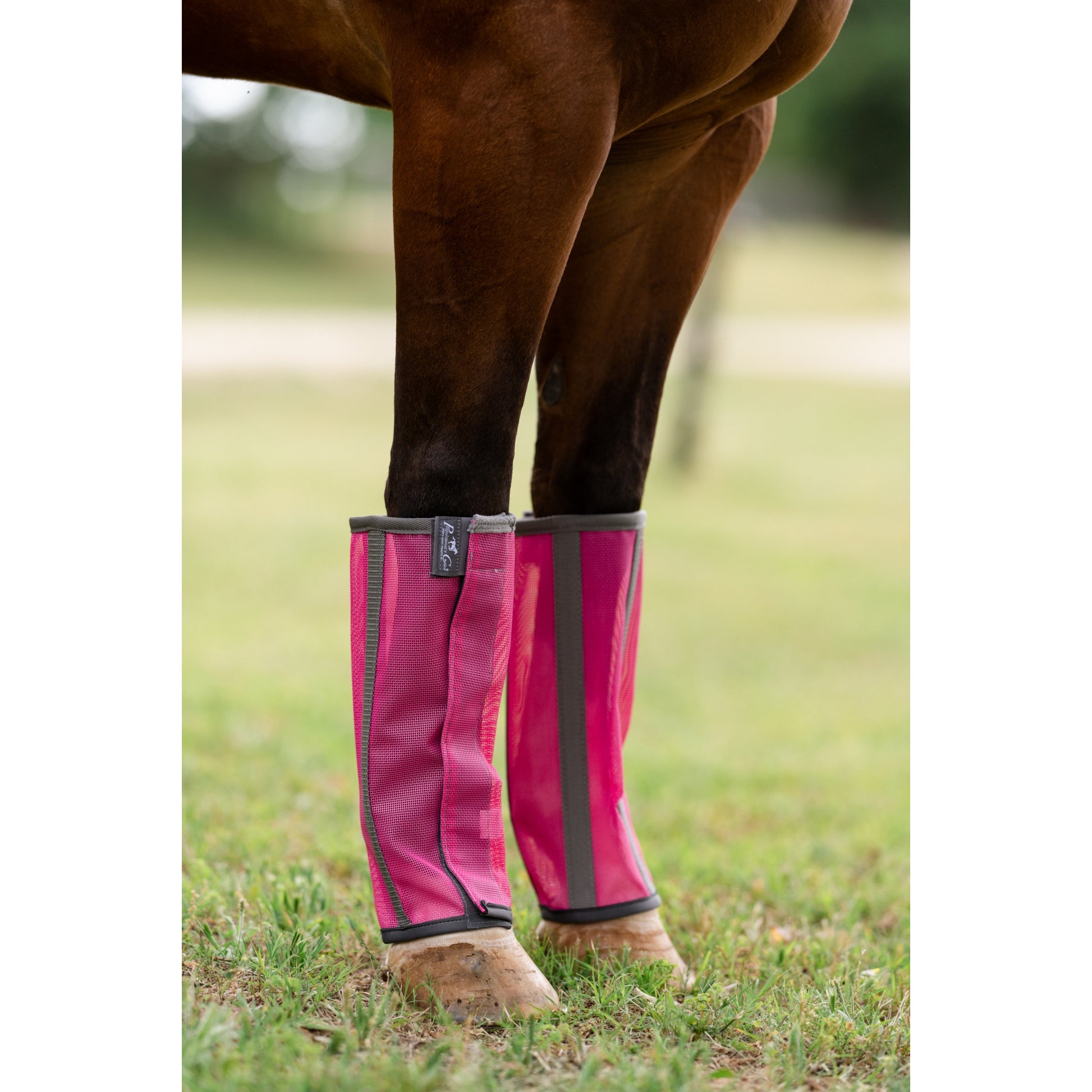 Professionals Choice Deluxe Fly Boots - 4 Pack