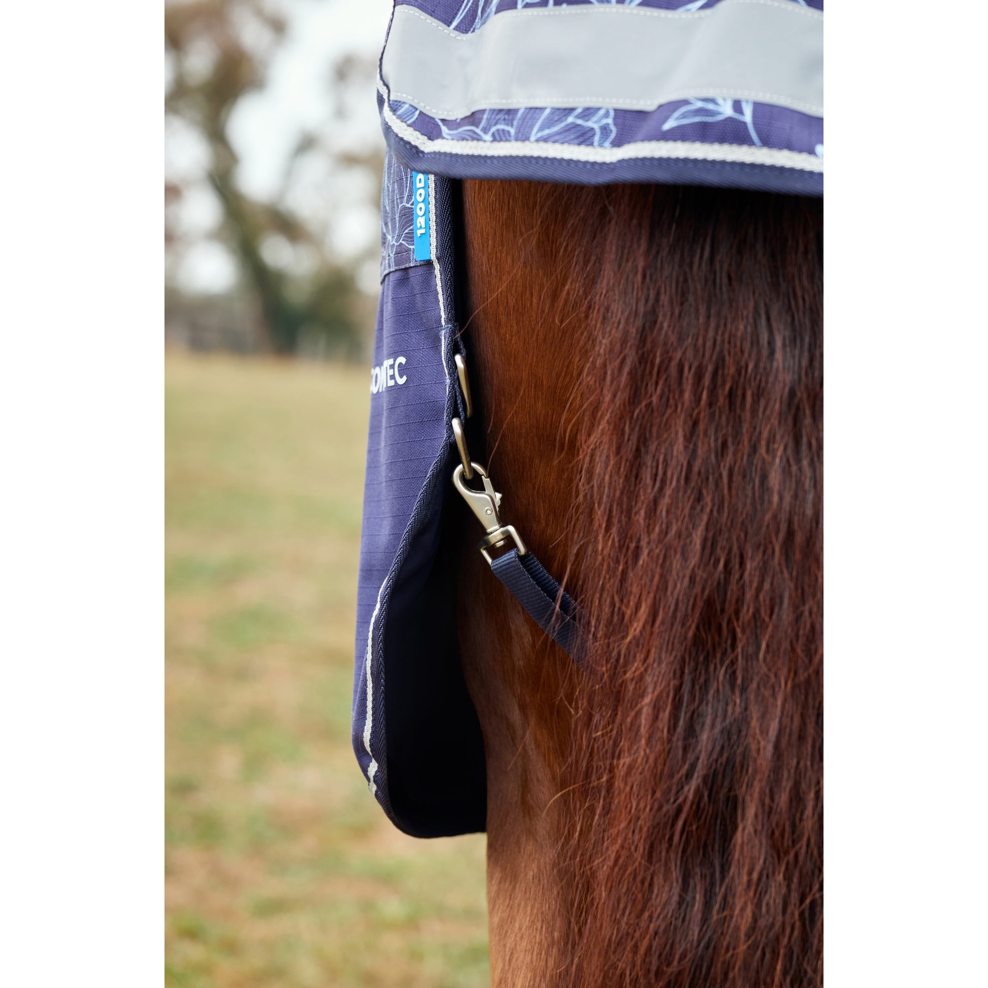 Weatherbeeta ComFiTec Essential Standard Neck Lite Blanket