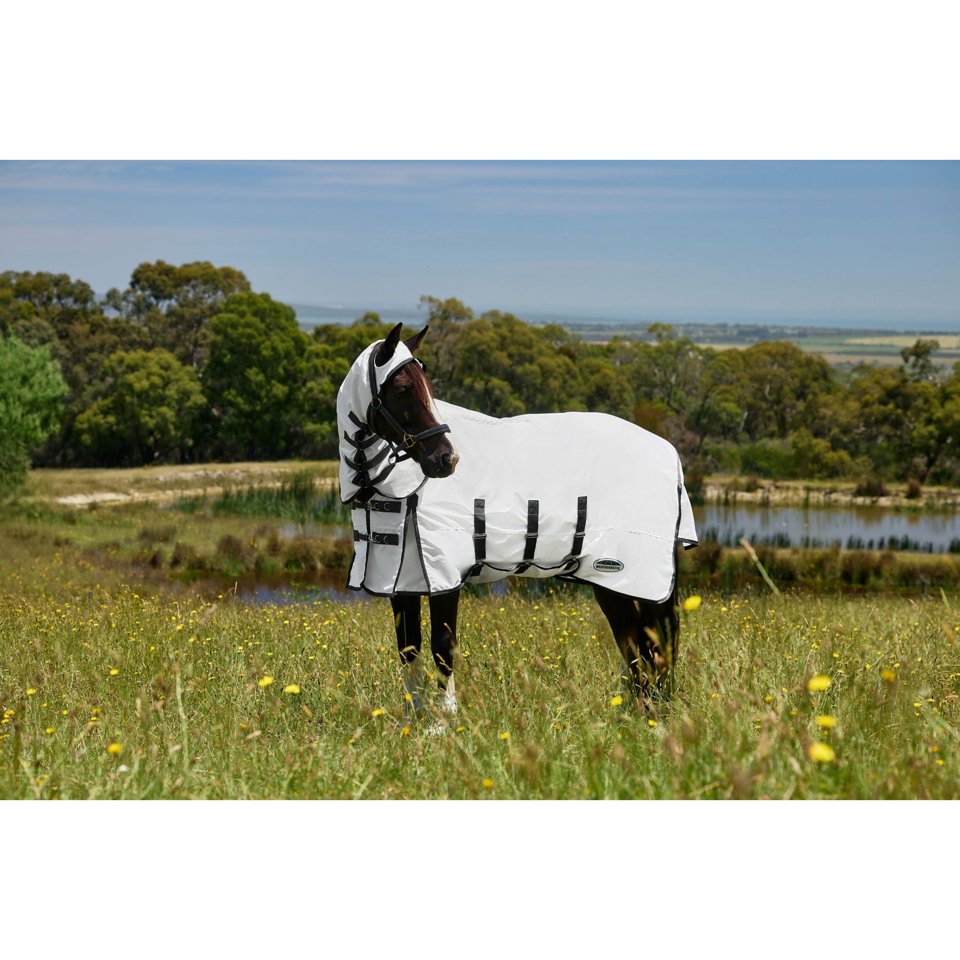 Weatherbeeta Sweet Itch Shield Combo Neck