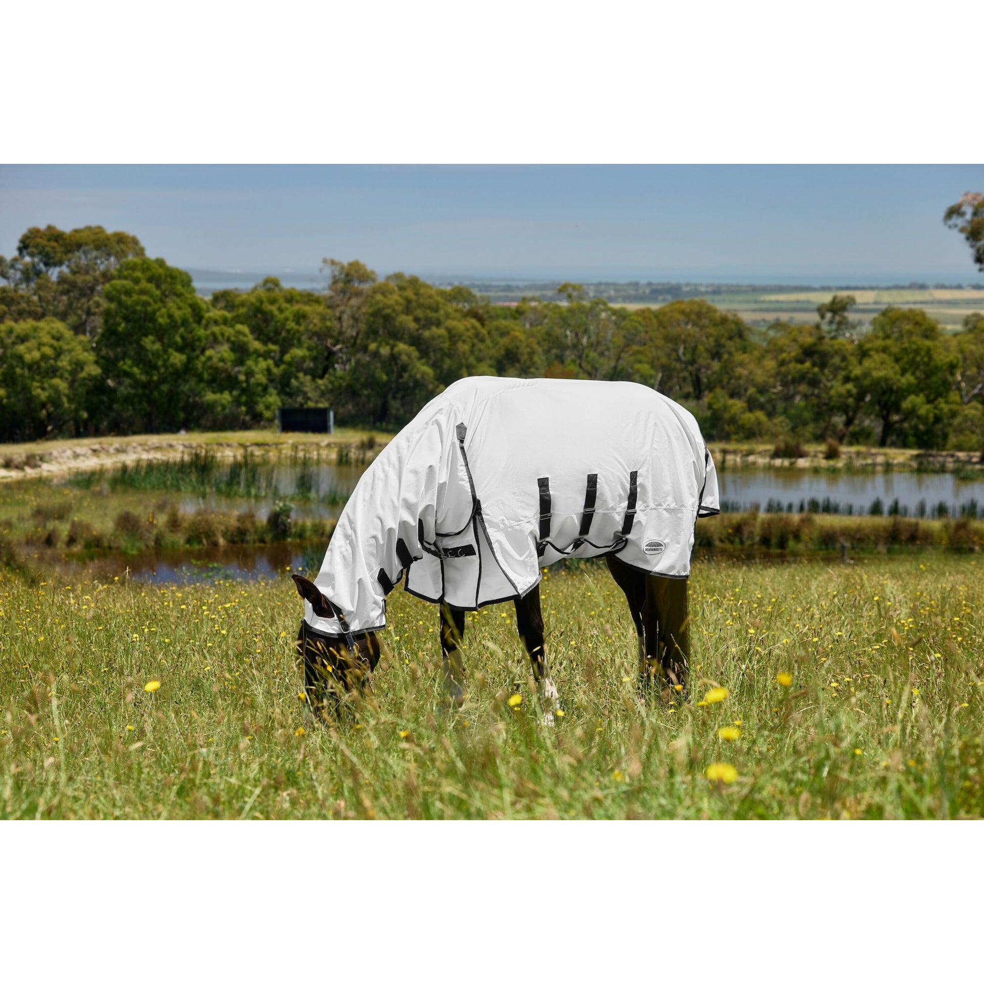 Weatherbeeta Sweet Itch Shield Combo Neck