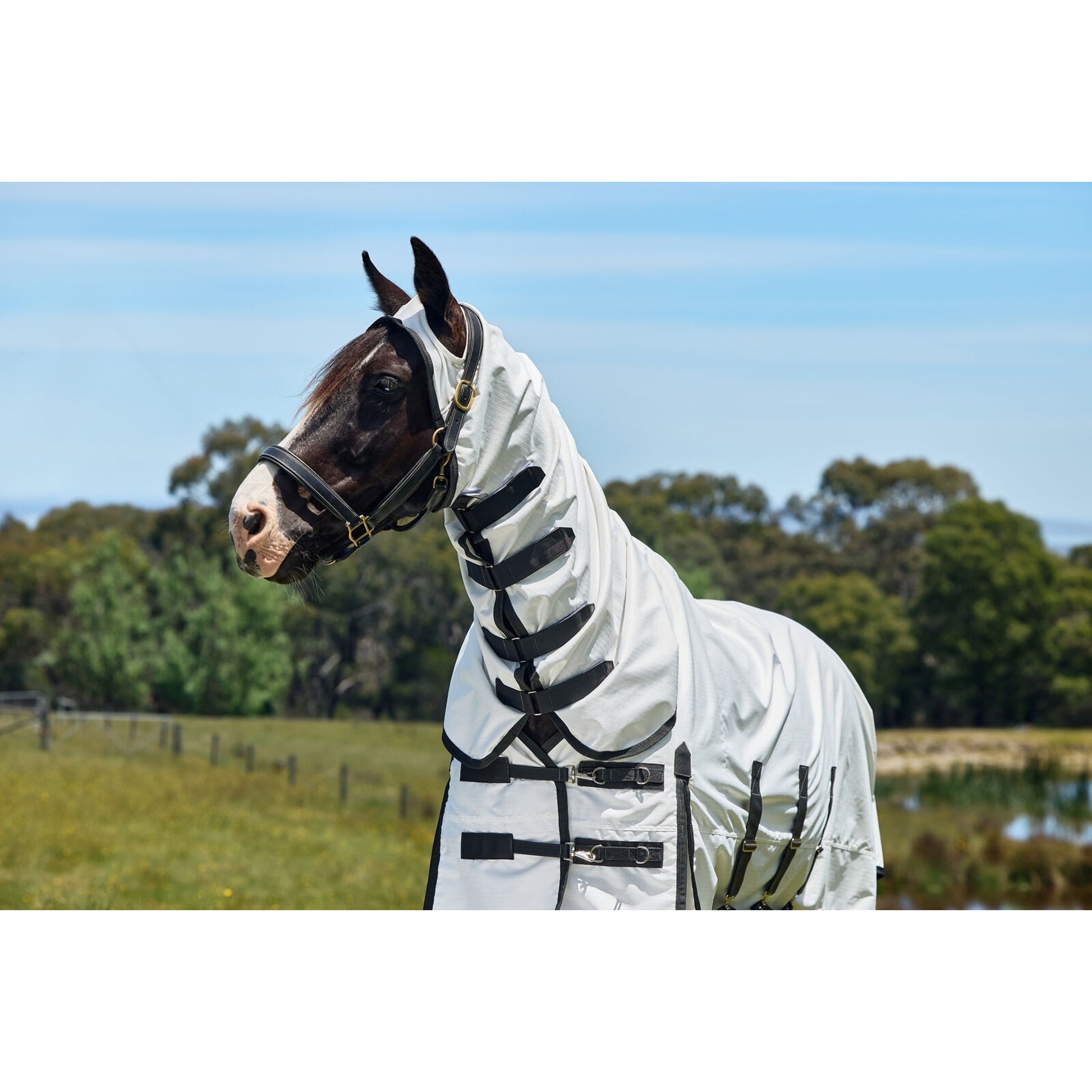 Weatherbeeta Sweet Itch Shield Combo Neck