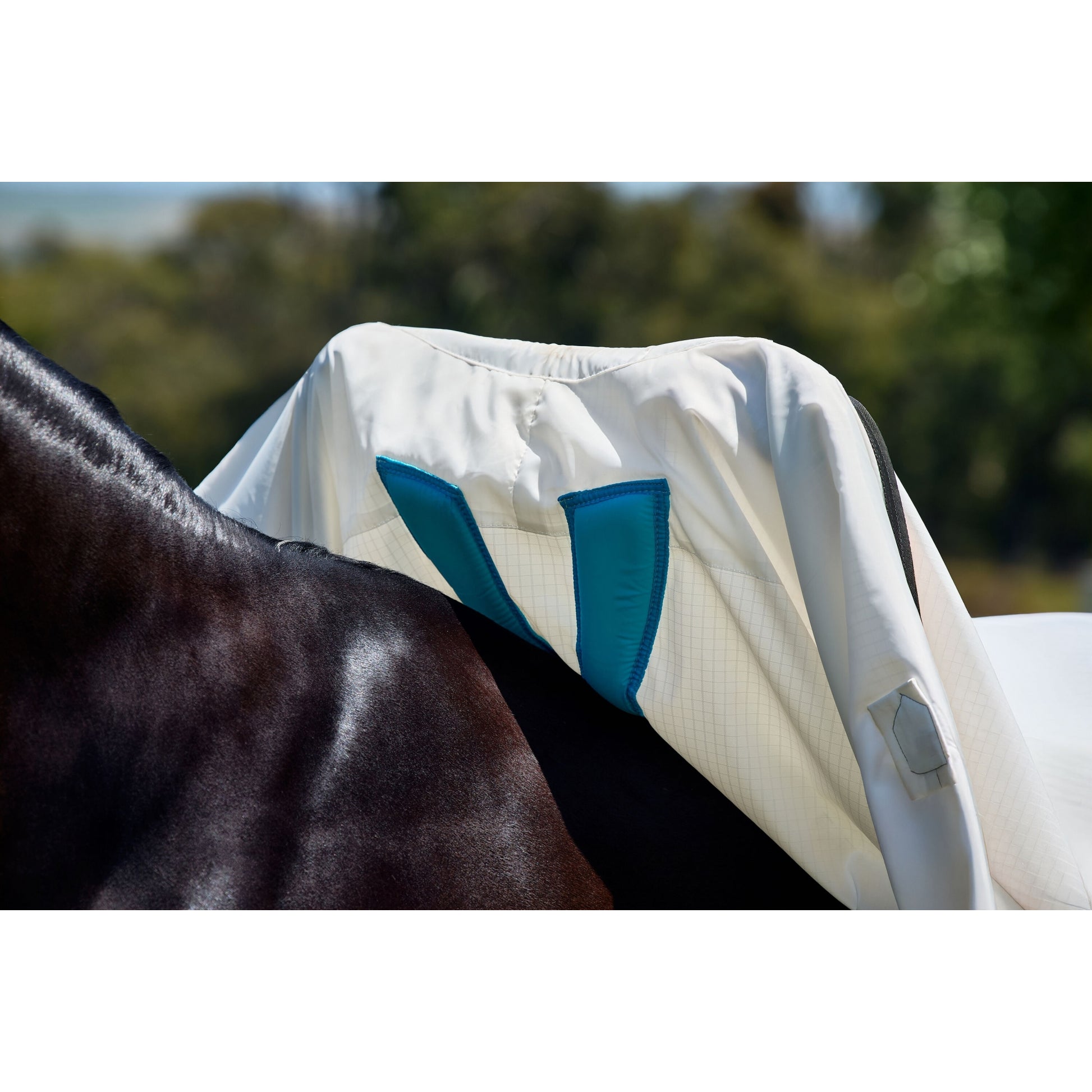 Weatherbeeta Sweet Itch Shield Combo Neck