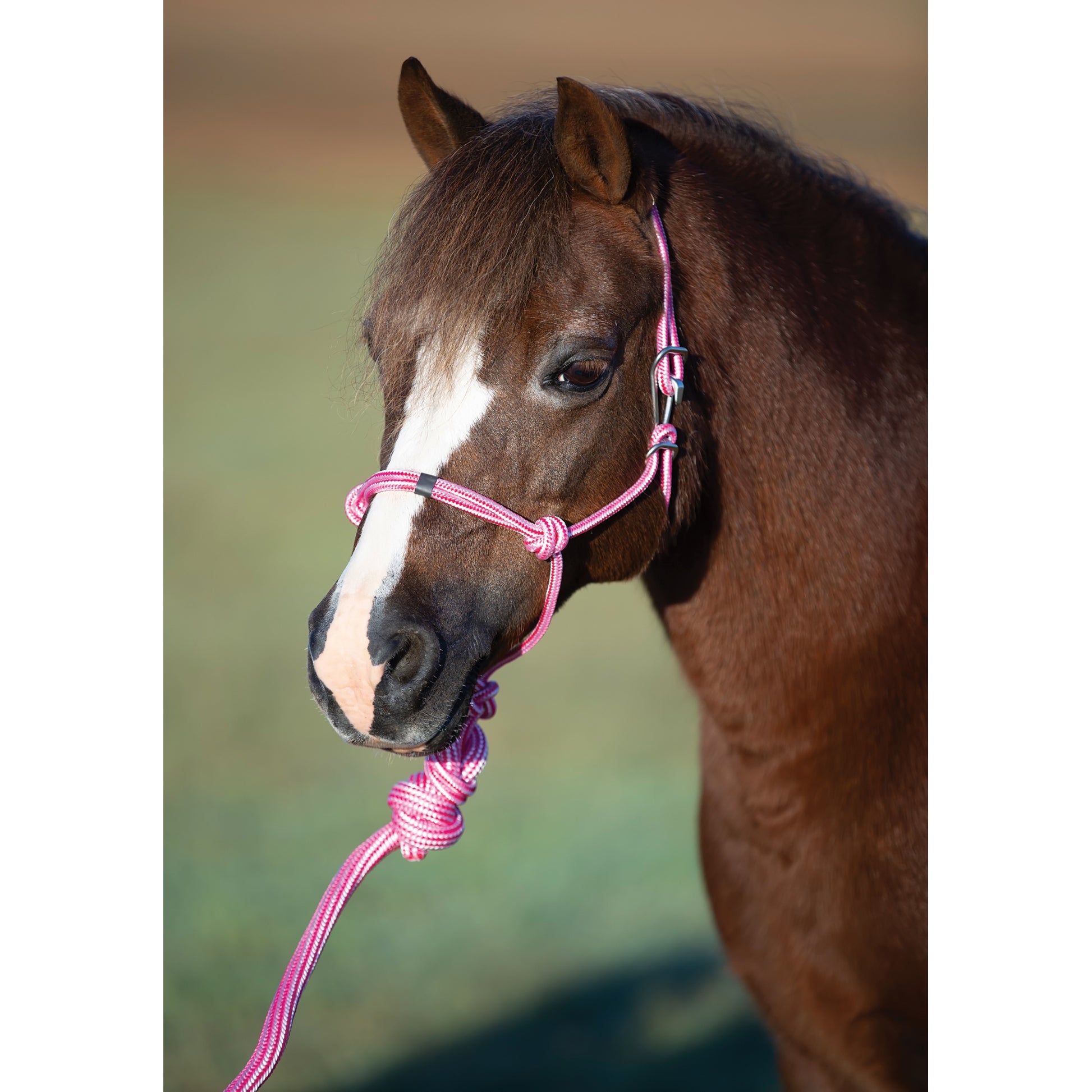 Professionals Choice Easy On Rope Halter