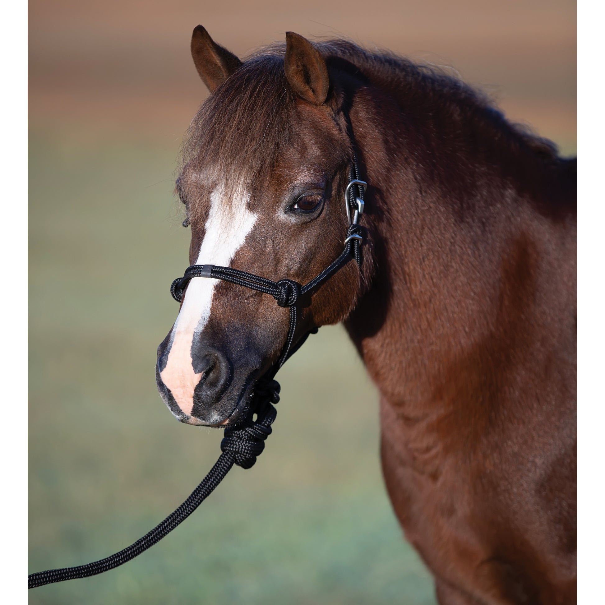 Professionals Choice Easy On Rope Halter