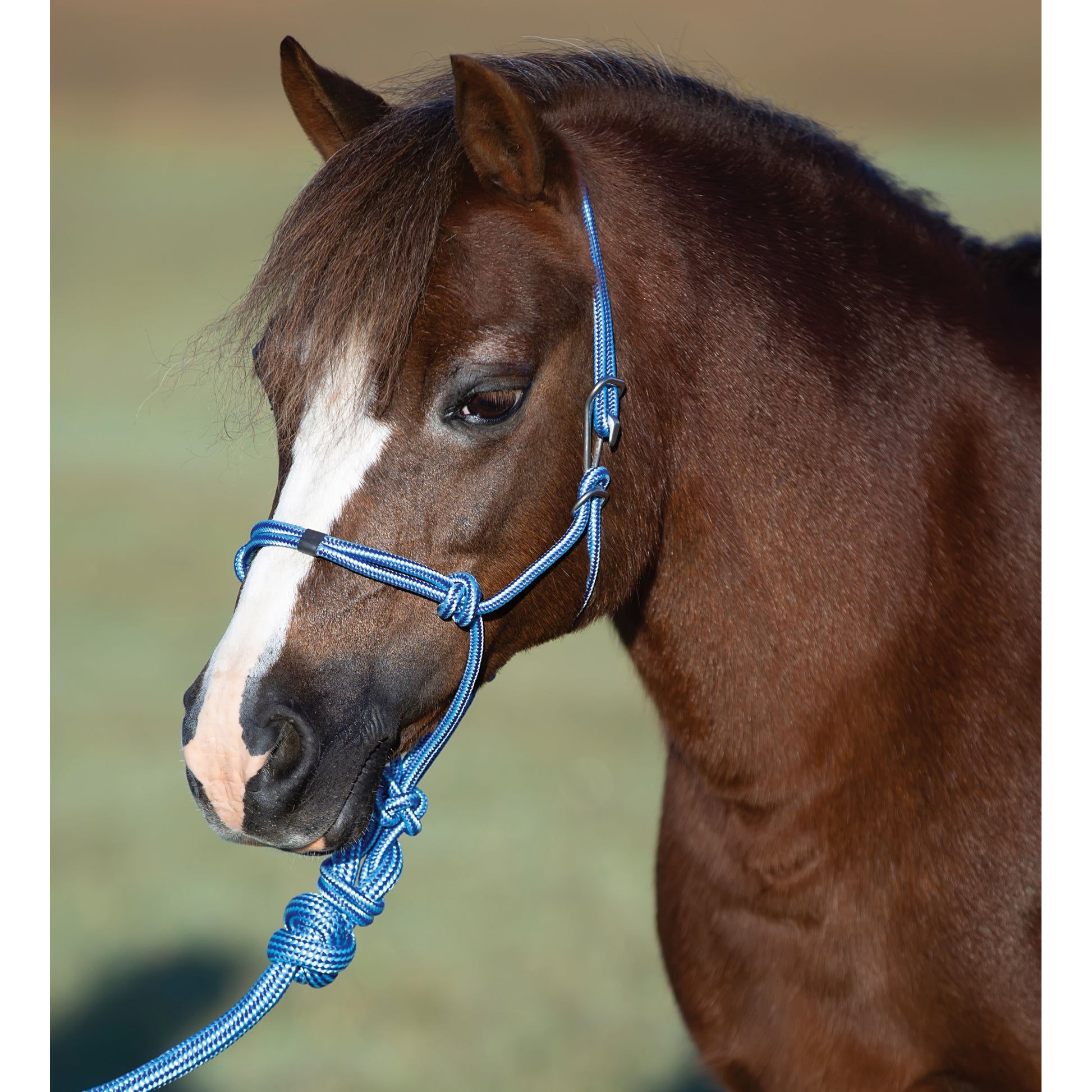 Professionals Choice Easy On Rope Halter
