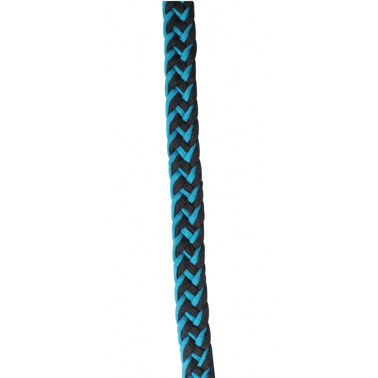 4-494204.jpg