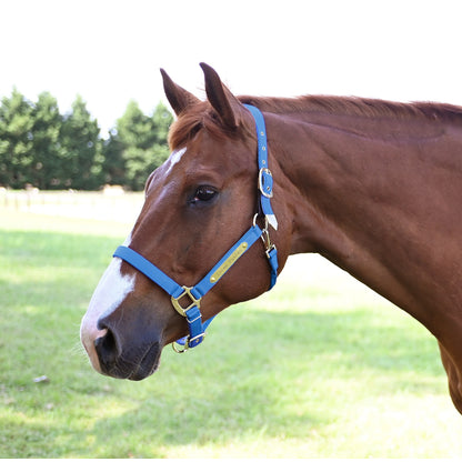 Gatsby Gold Personalized Adjustable Nylon Safety Breakaway Halter