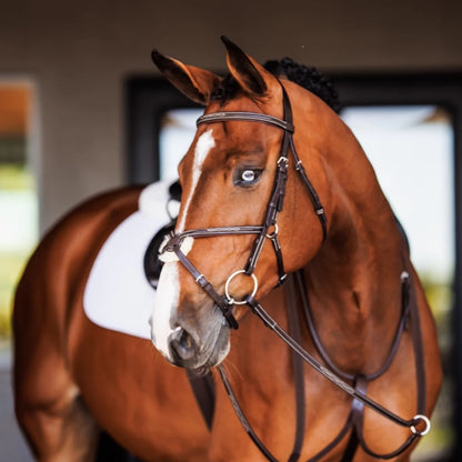 Shires Velociti Fancy Raised Padded Figure 8 Bridle with Fancy Raised Rubber Reins