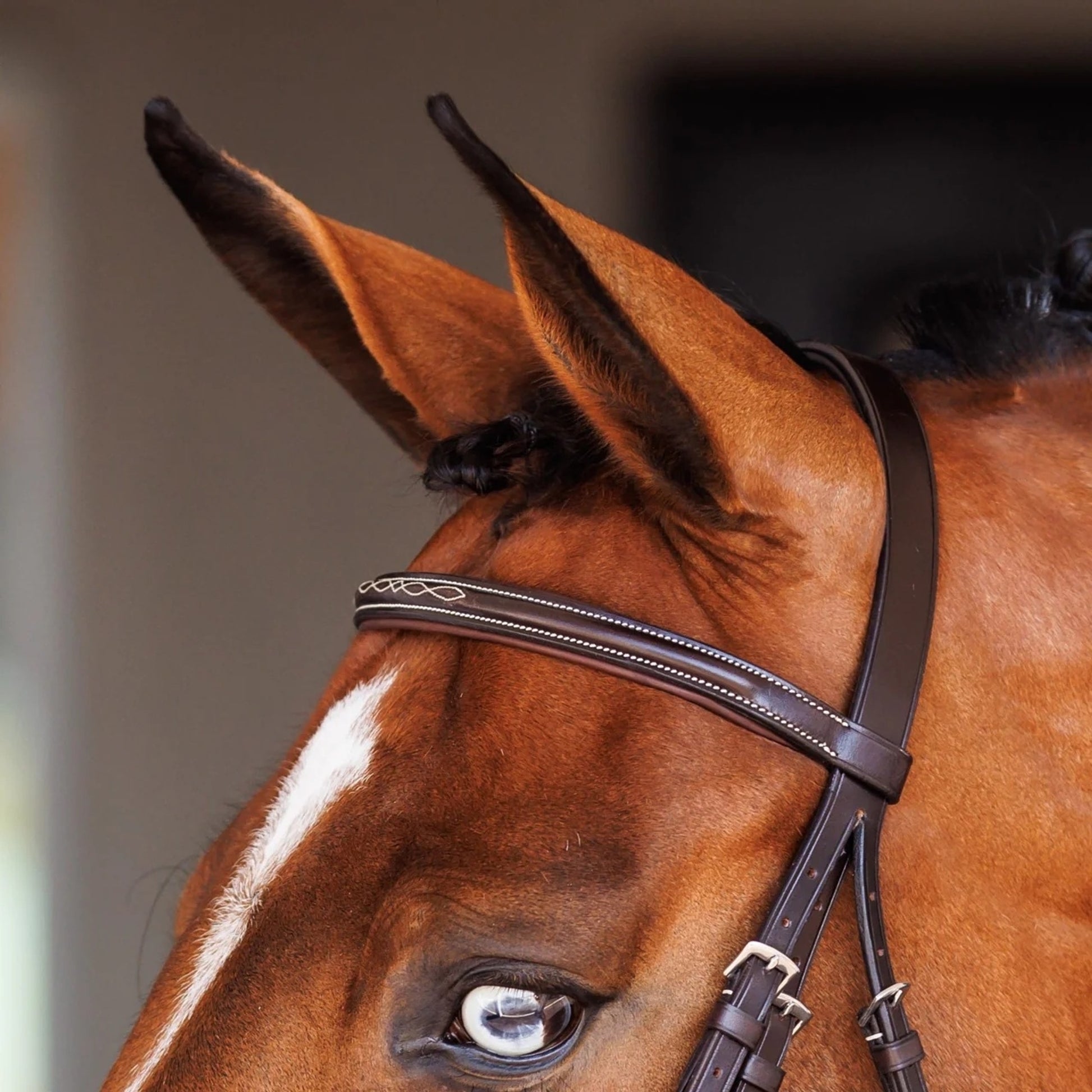 Shires Velociti Fancy Raised Padded Figure 8 Bridle with Fancy Raised Rubber Reins