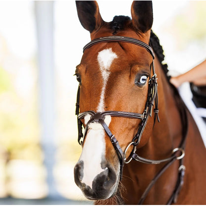 Shires Velociti Fancy Raised Padded Figure 8 Bridle with Fancy Raised Rubber Reins