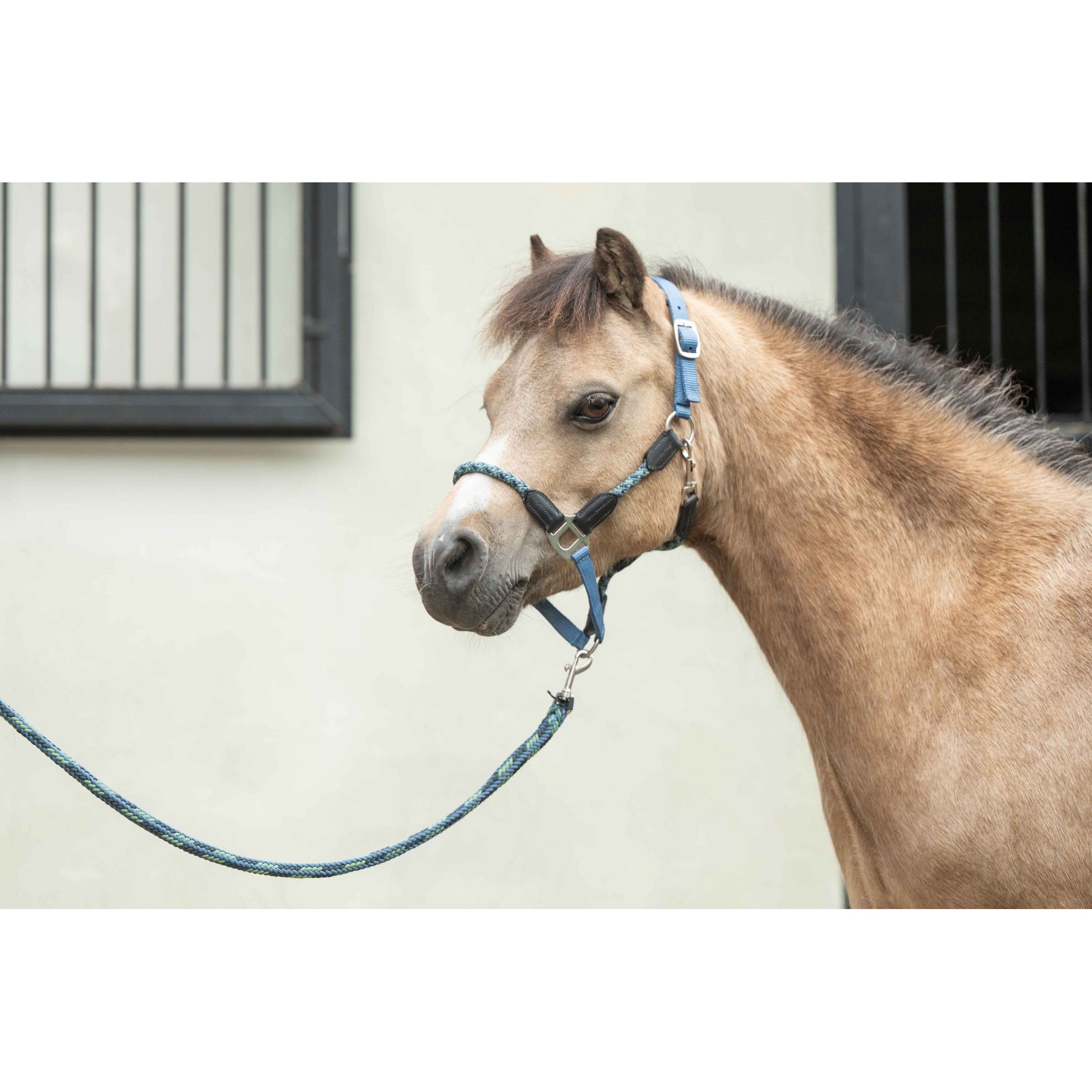 HKM Nele Head Collar