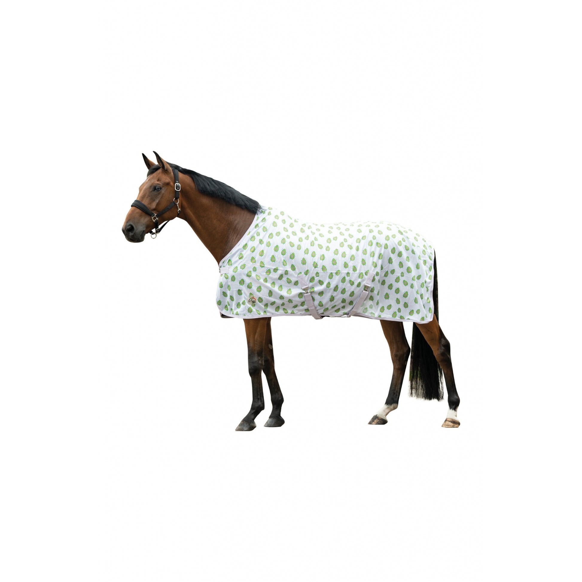 HKM Naples Fly Rug