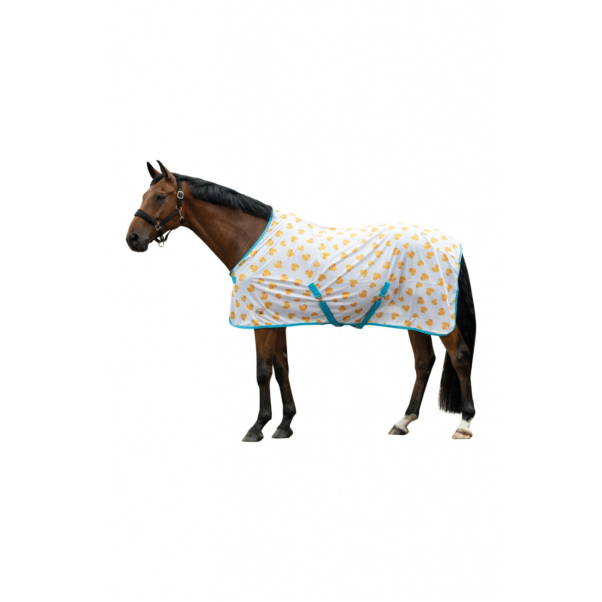 HKM Naples Fly Rug