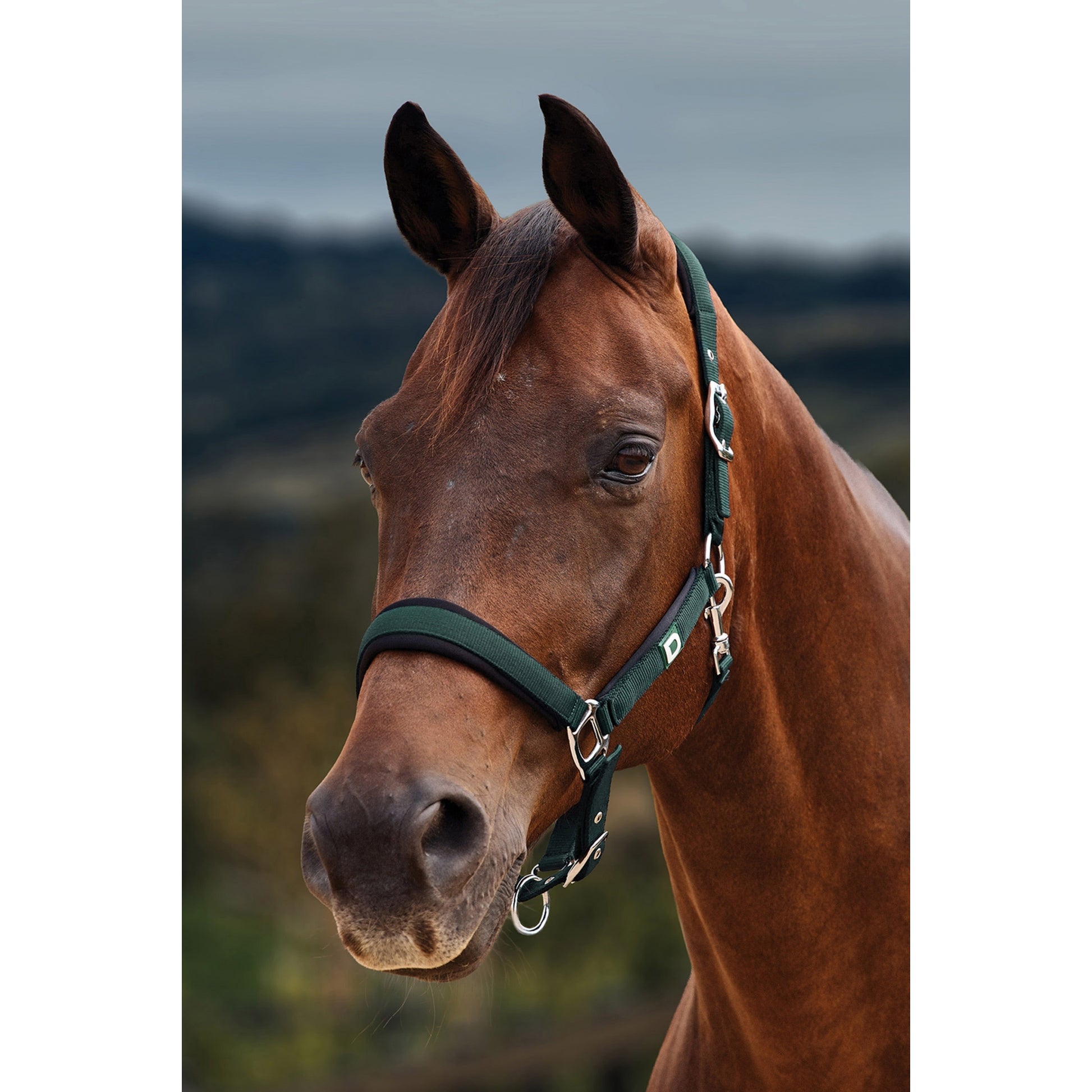 Dublin Neo Comfort Breakaway Halter