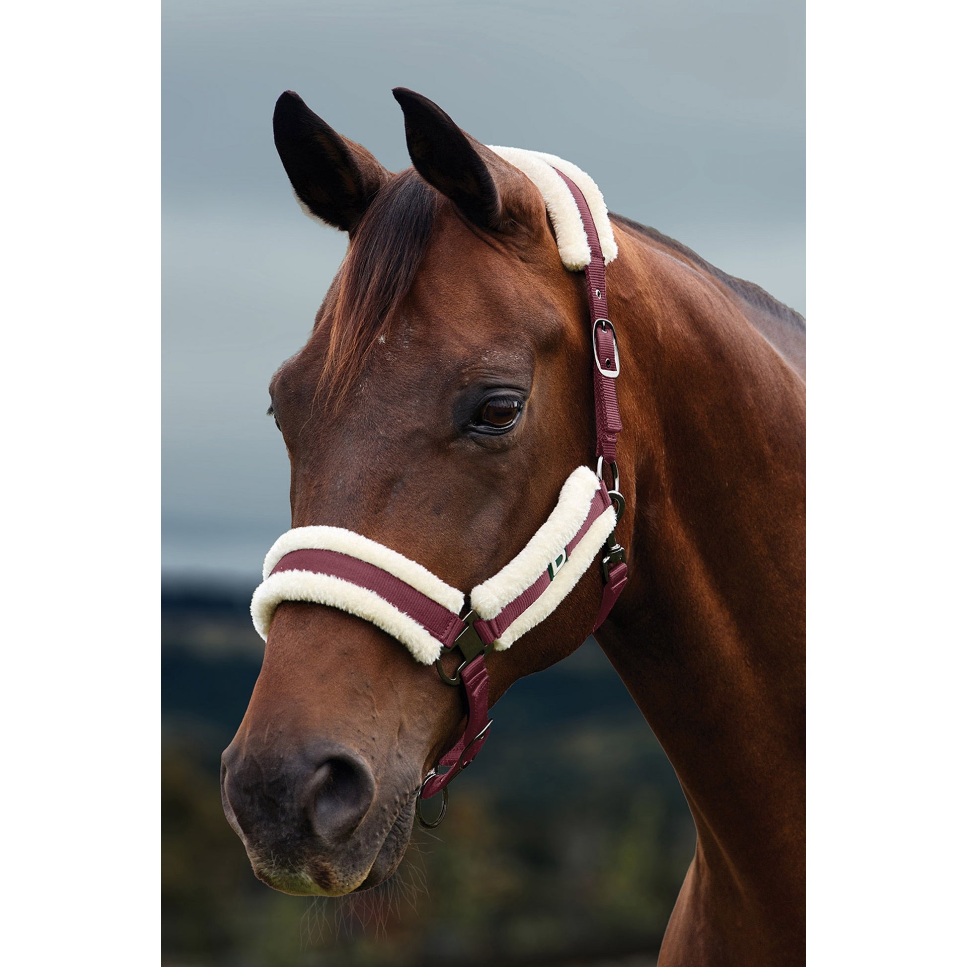 Dublin Soft Fit Breakaway Halter
