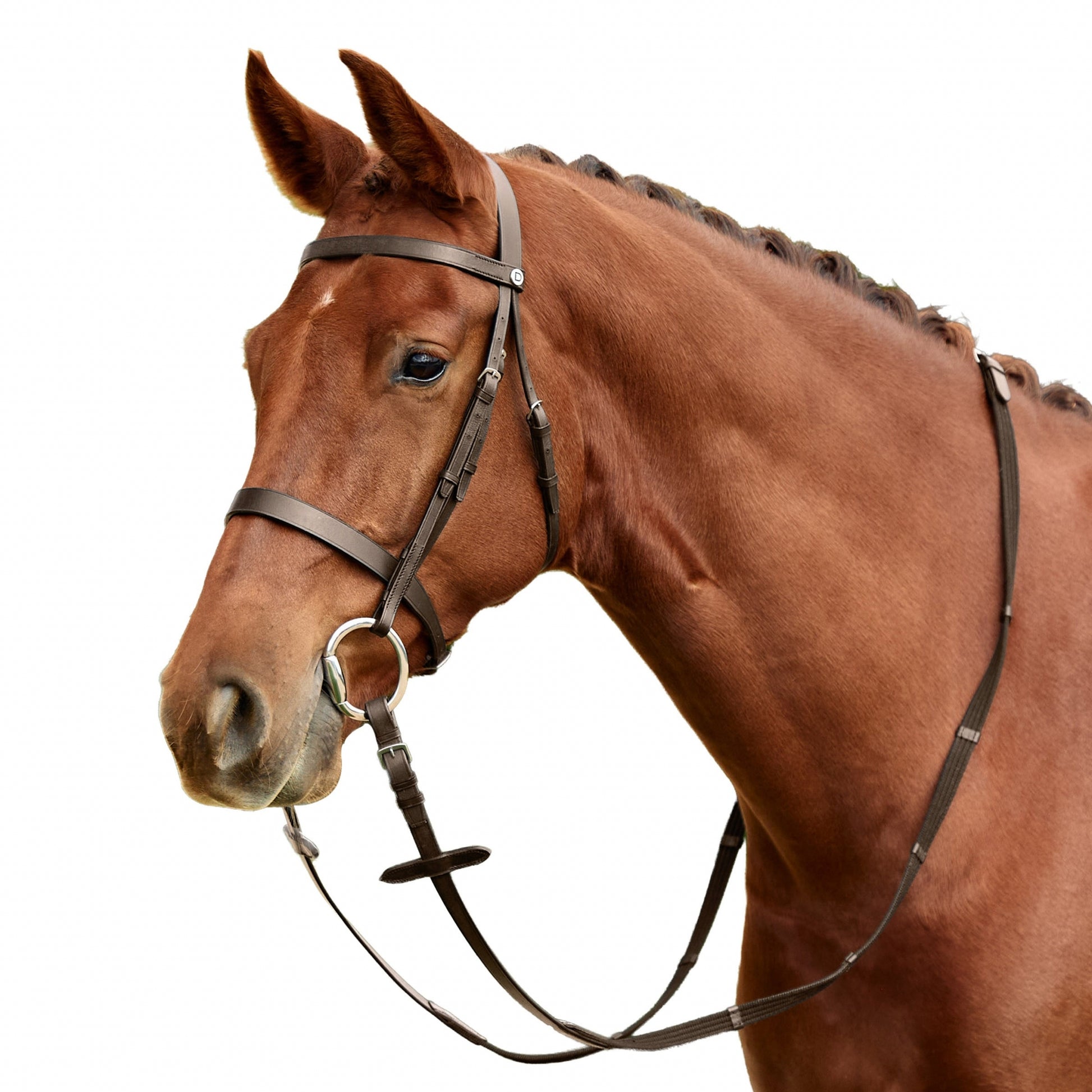 Dublin Flat Cavesson Bridle