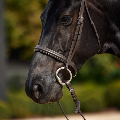 Dublin Padded Cavesson Bridle