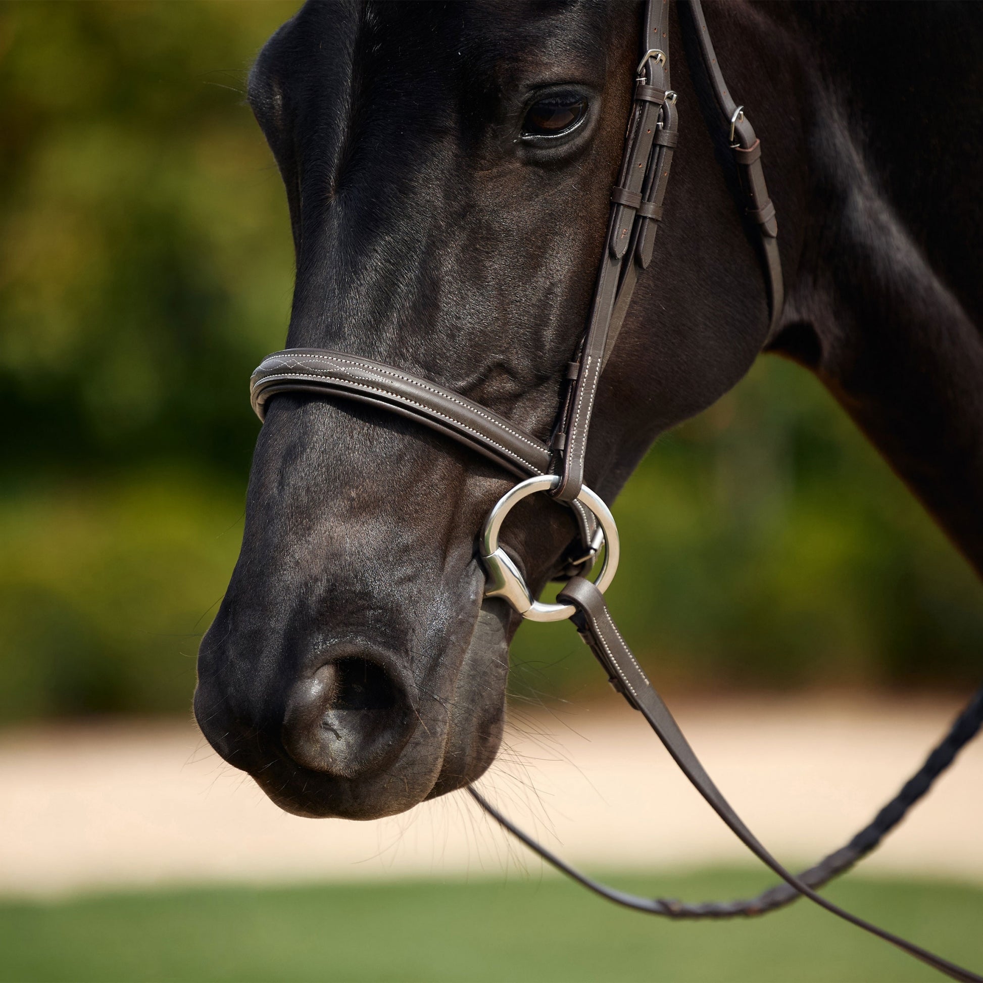 Dublin Padded Fancy Stitch Hunt Bridle