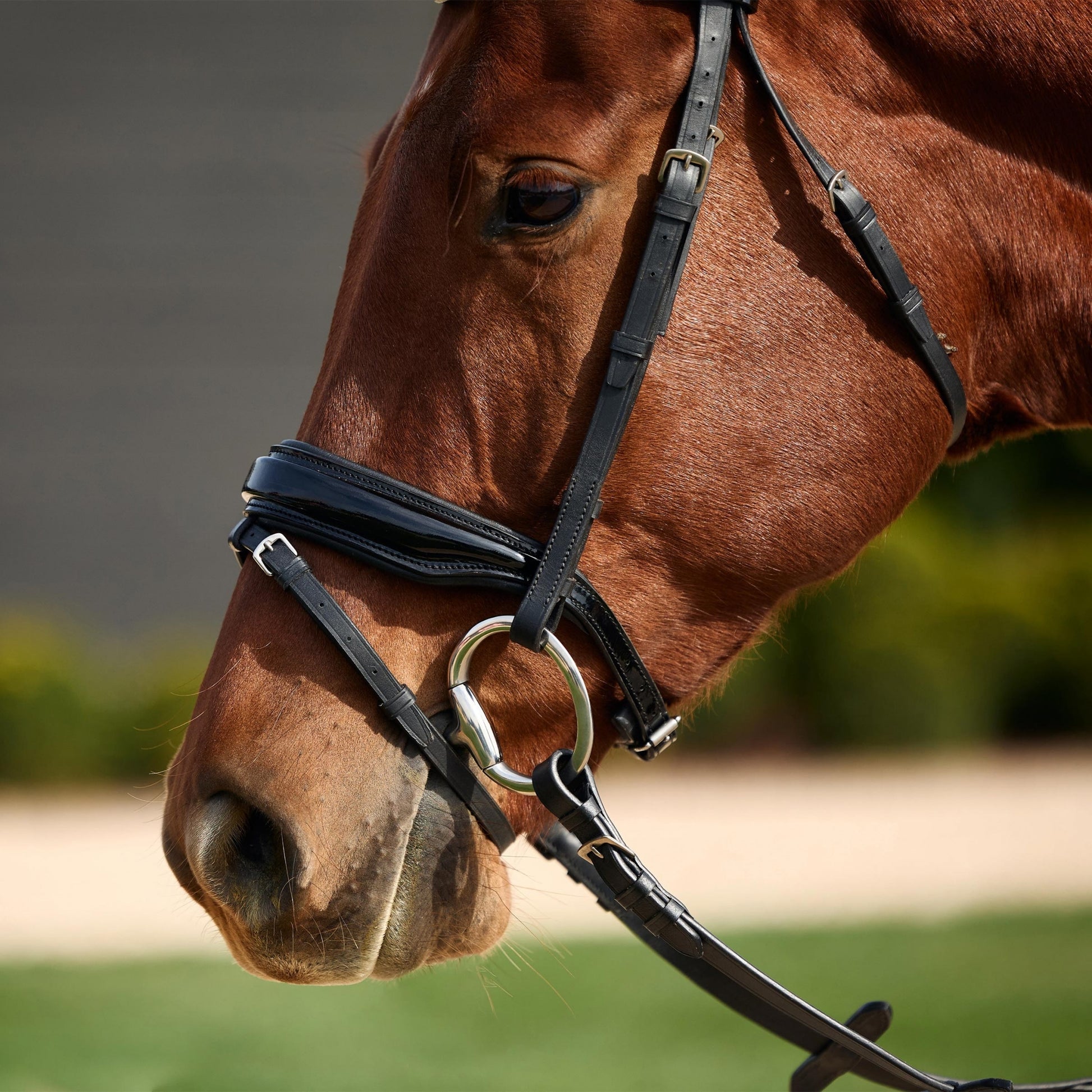Dublin Padded Patent Flash Bridle