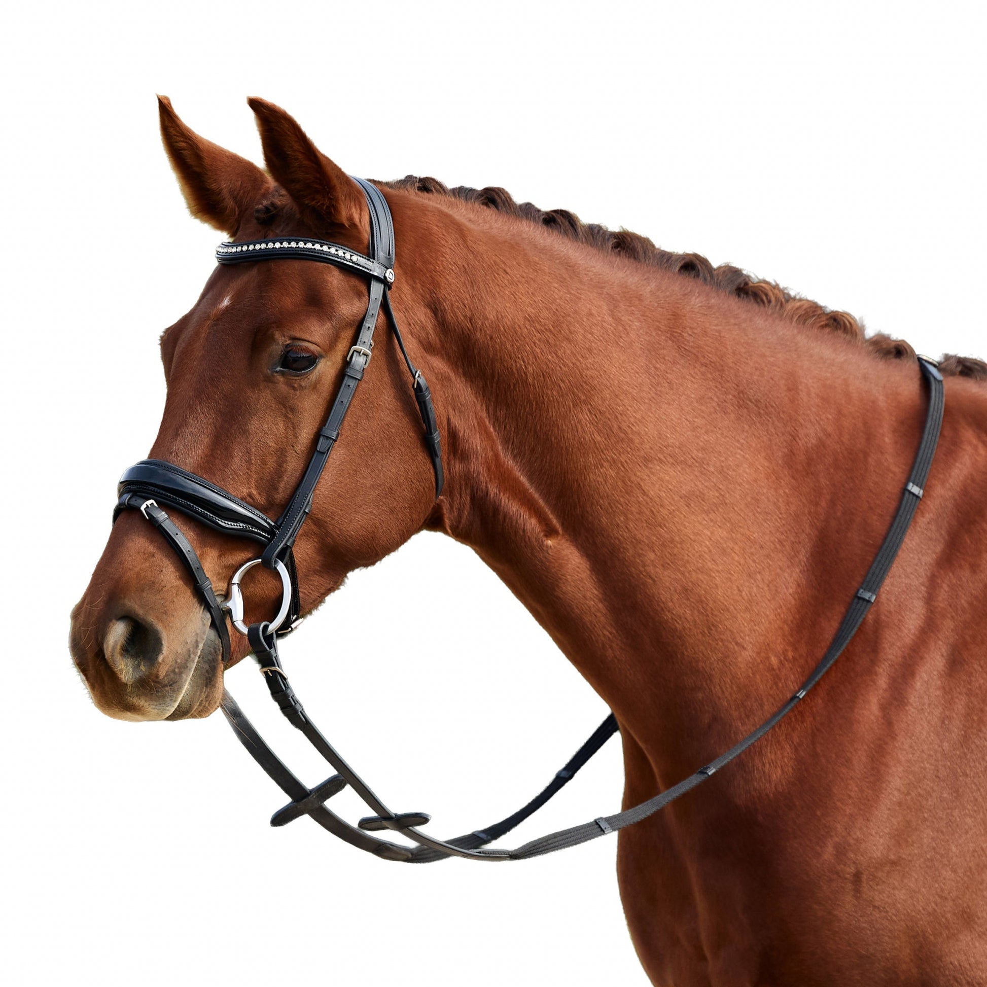 Dublin Padded Patent Flash Bridle