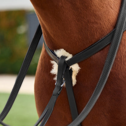 Dublin 5-Point Event Breastplate