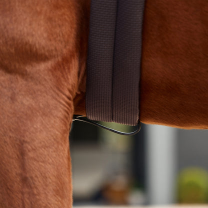 Dublin 5-Point Event Breastplate