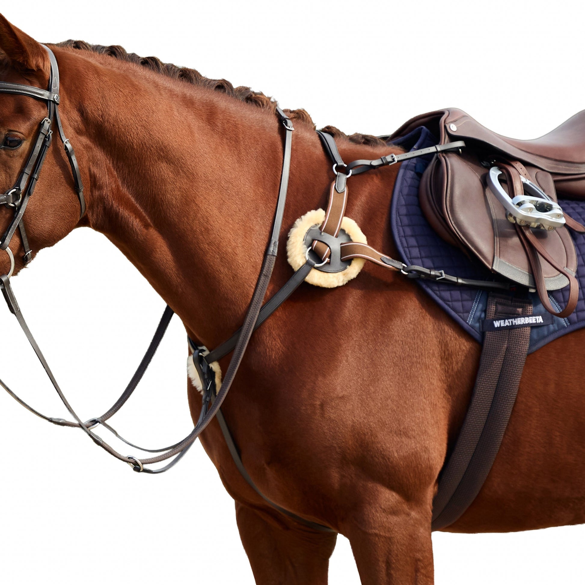 Dublin 5-Point Event Breastplate