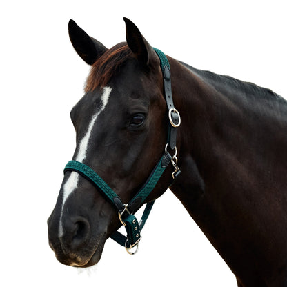 Dublin Braided Leather Headcollar