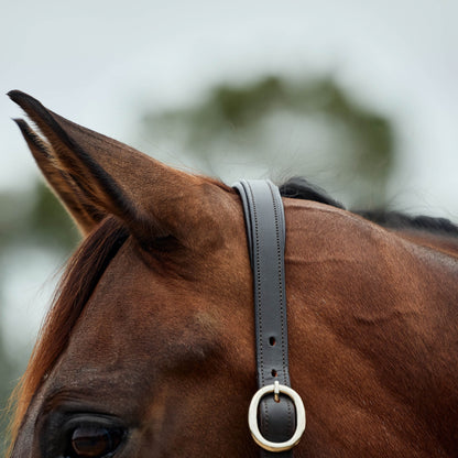 Dublin Leather Rope Headcollar