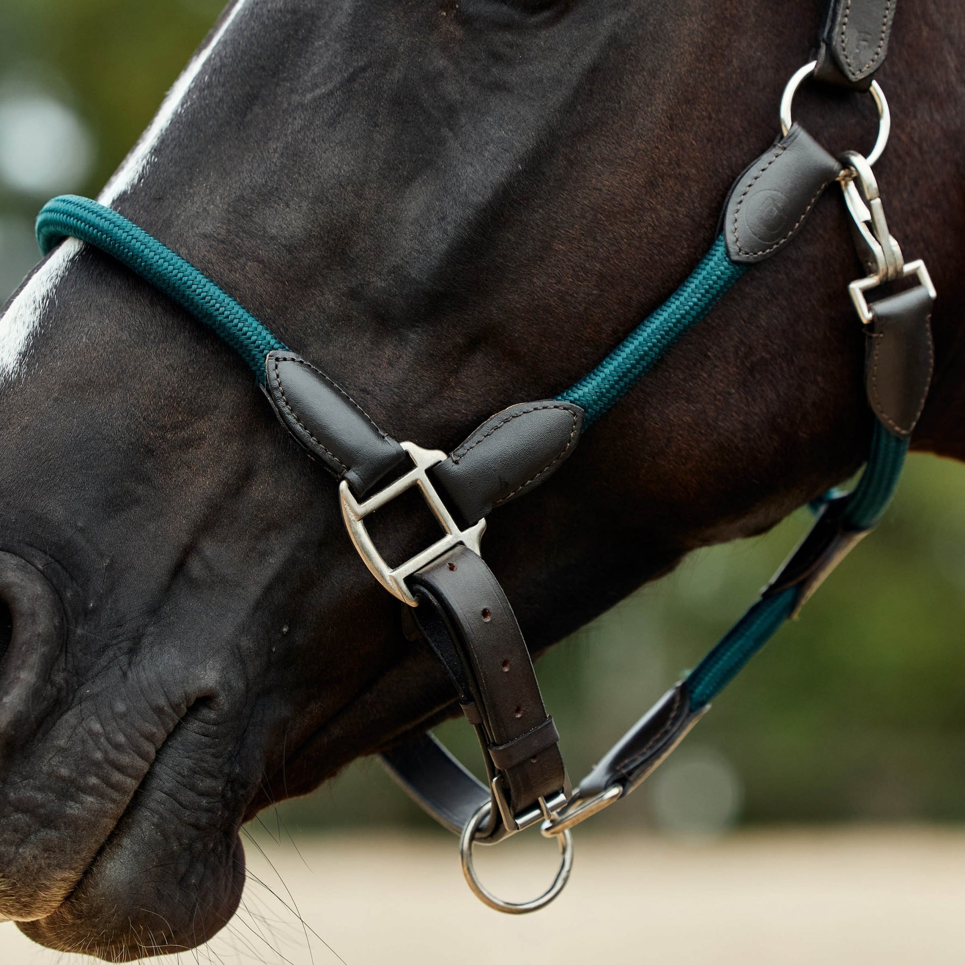 Dublin Leather Rope Headcollar
