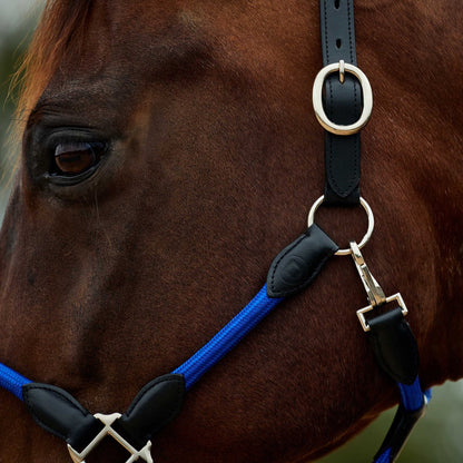 Dublin Leather Rope Headcollar