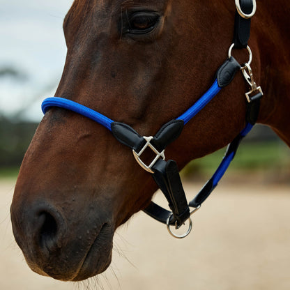 Dublin Leather Rope Headcollar