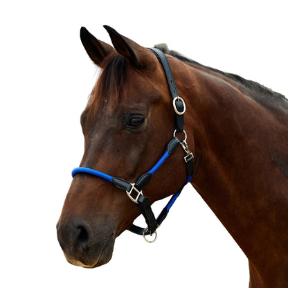 Dublin Leather Rope Headcollar