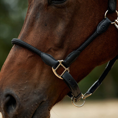 Dublin Leather Rope Headcollar