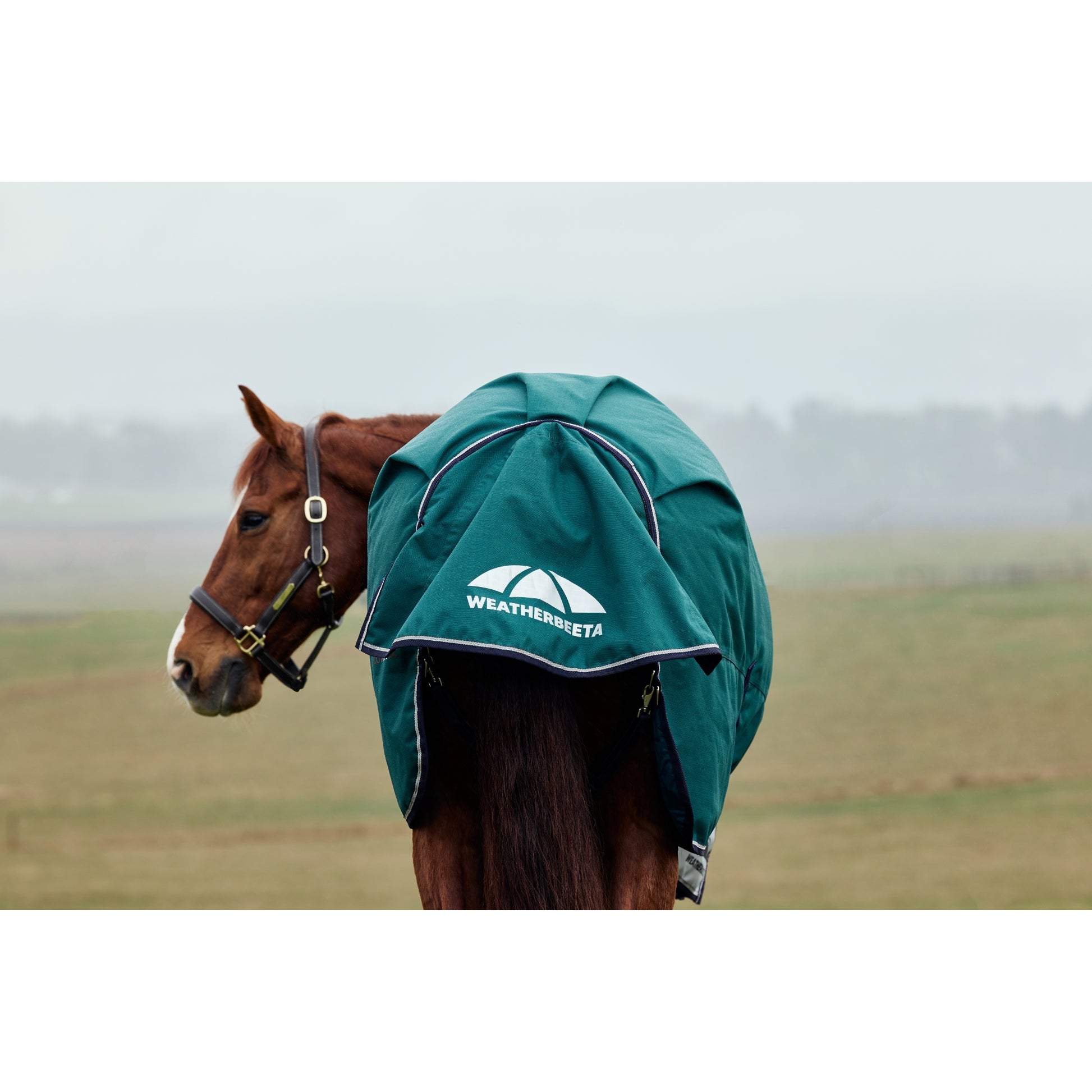 Weatherbeeta ComFiTec Plus Dynamic Turnout High Neck 0g