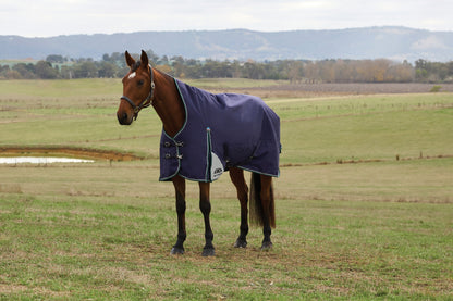 Weatherbeeta ComFiTec Plus Dynamic Turnout High Neck 100g