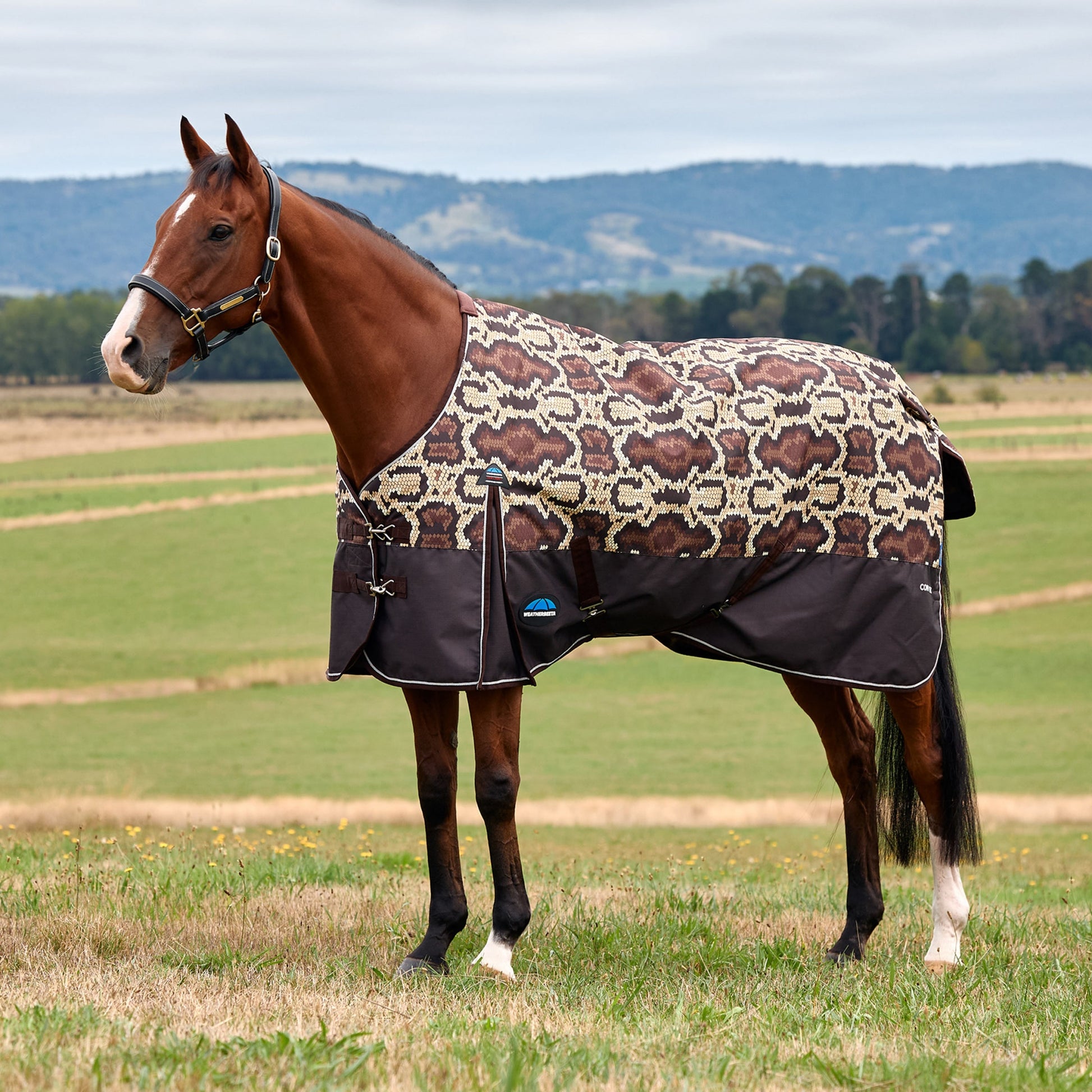 Weatherbeeta ComFiTec Legend Turnout Standard Neck 0g