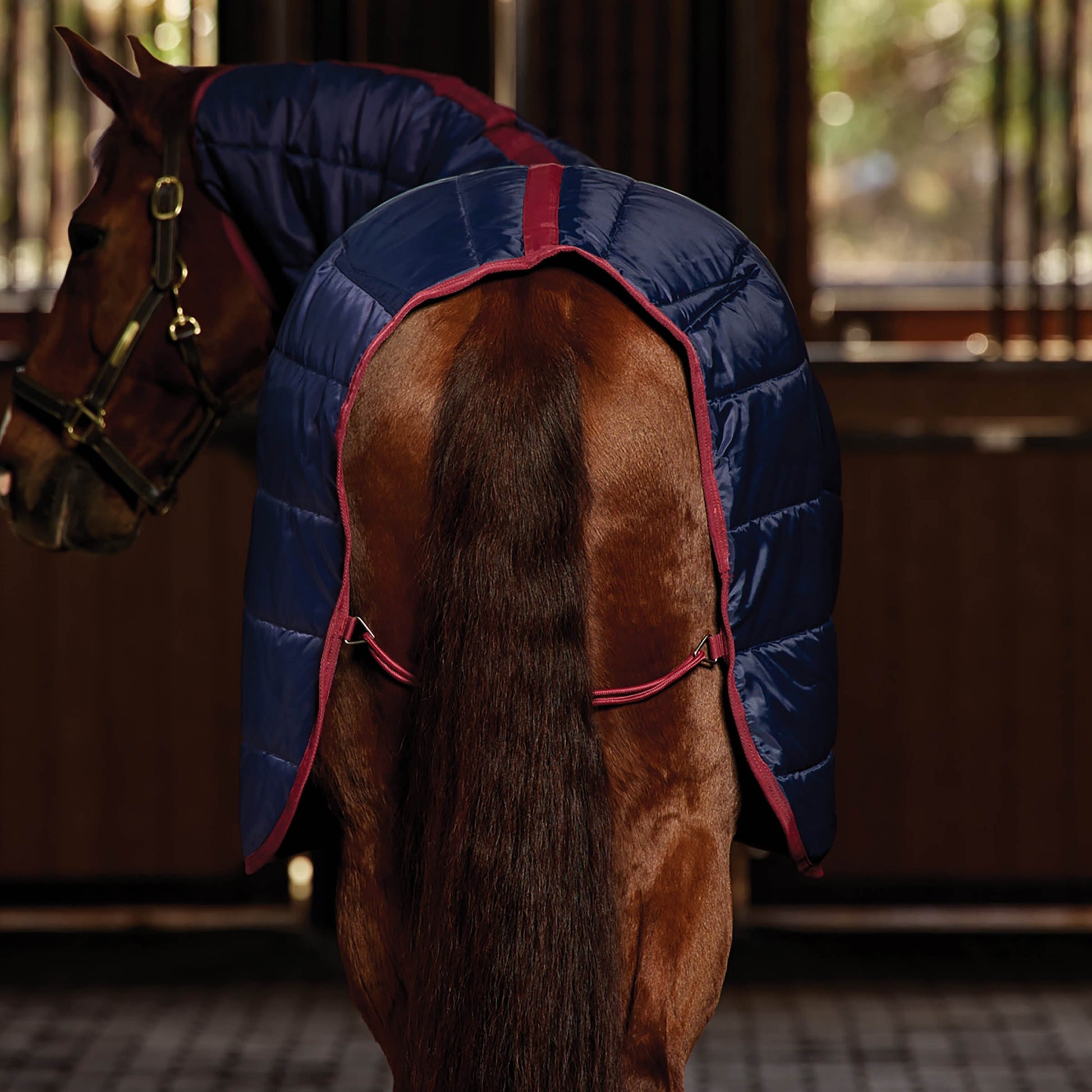 Weatherbeeta Stable Rug Combo 220g