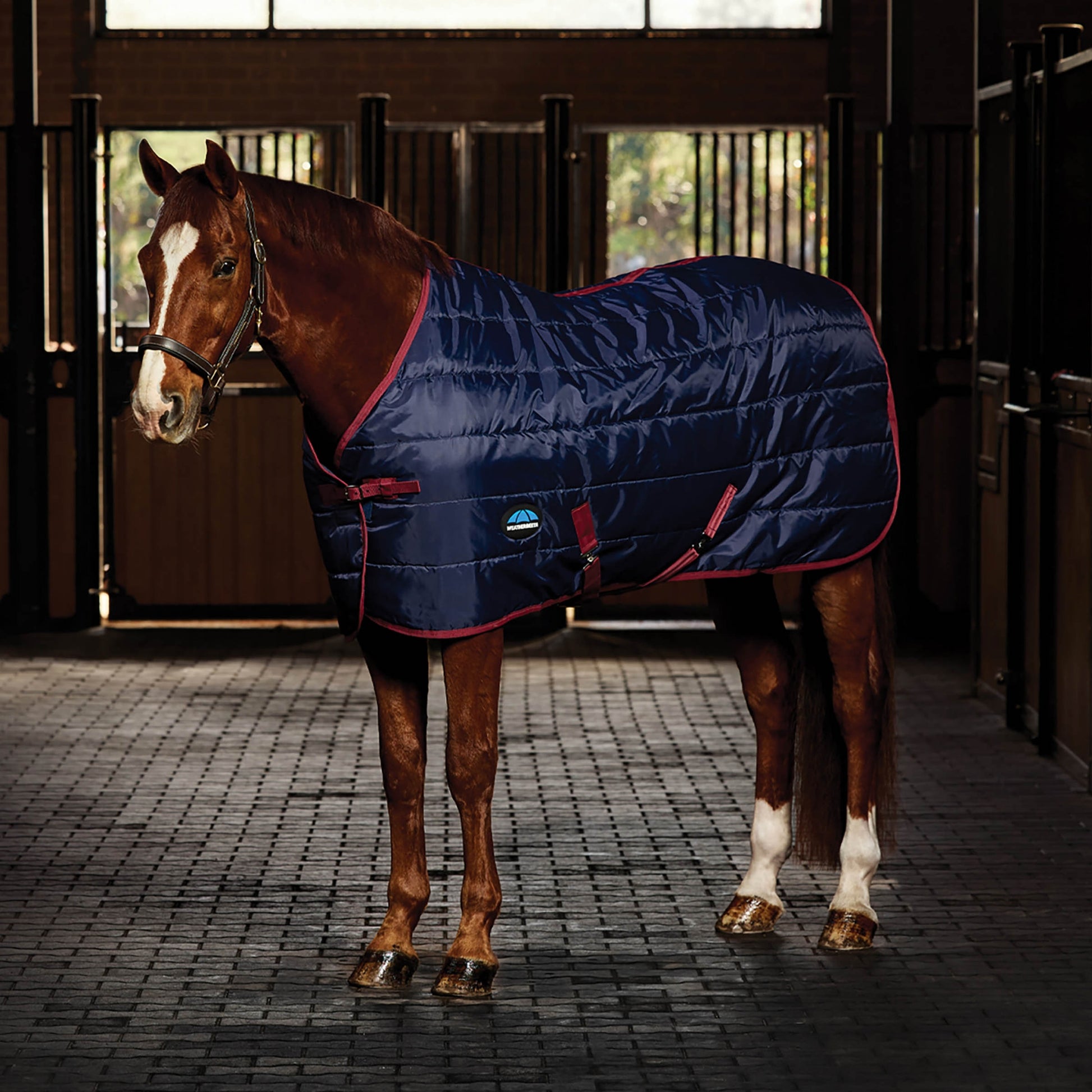 Weatherbeeta Stable Rug 220g